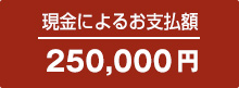 現金によるお支払額 240,000円